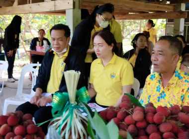 อธิบดีกรมส่งเสริมสหกรณ์ ลงพื้นที่เยี่ยมชมแปลงลิ้นจี่ ... พารามิเตอร์รูปภาพ 7